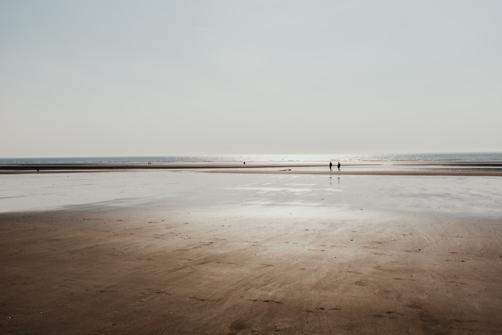 Deux personnes debout sur le rivage pendant l’heure dorée