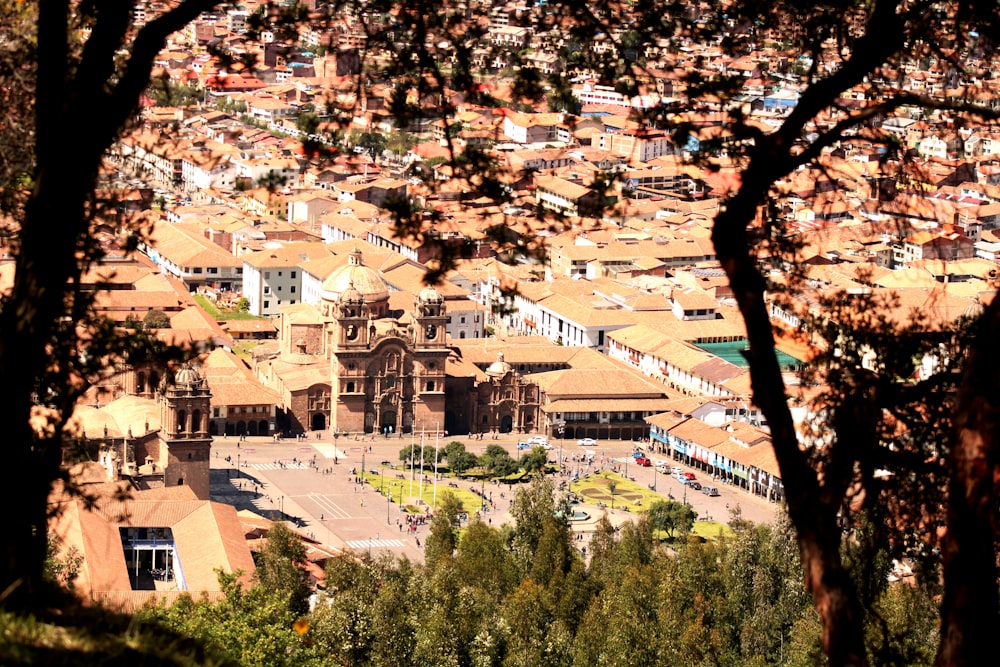 buildings near trees in high-angle photo