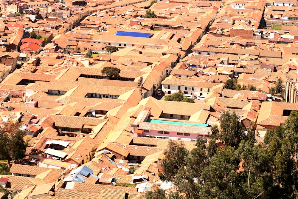 aerial photography of village