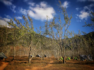 Wide view of a rugged campsite surrounded by dense forest.