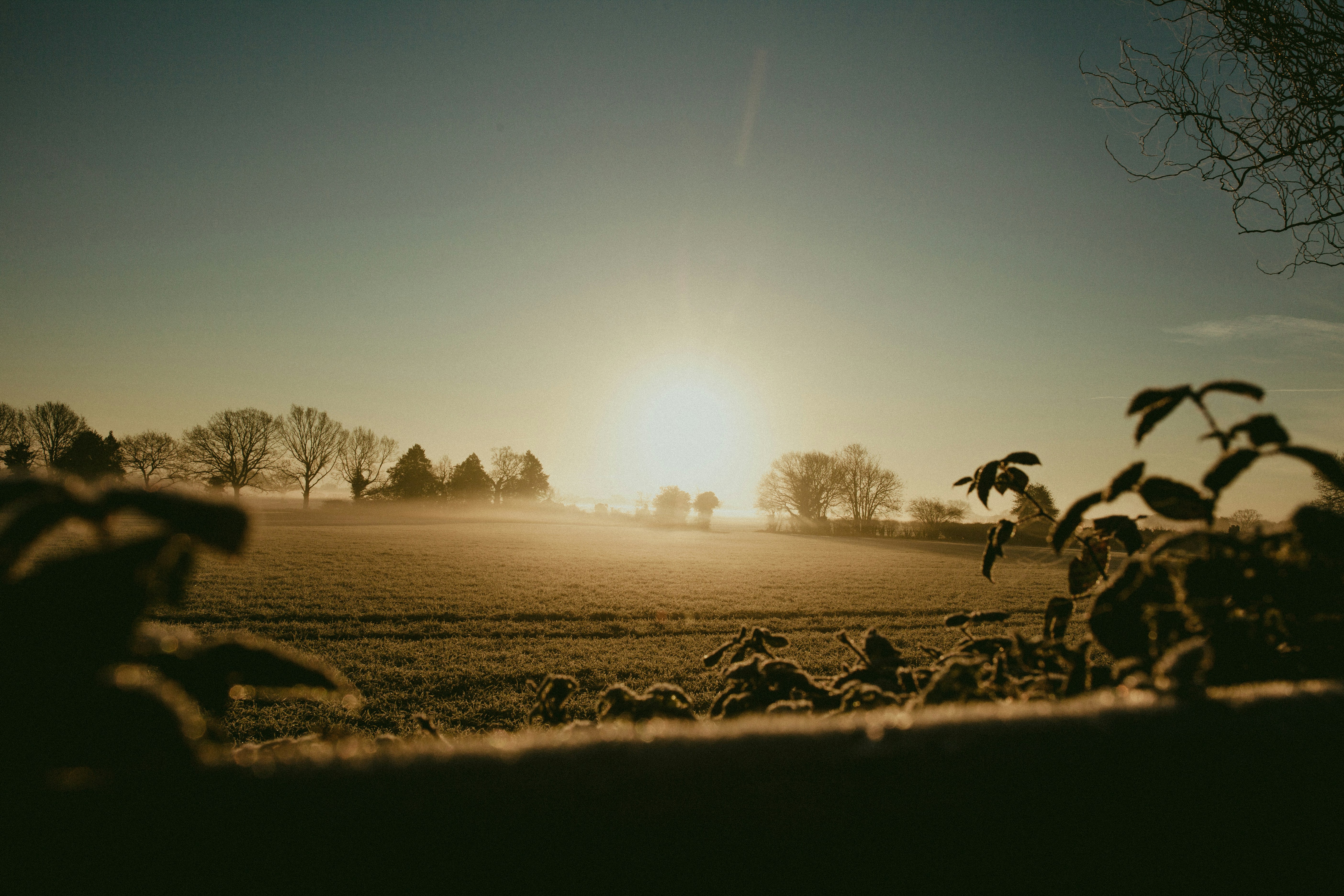 sepia photography of under gray ksy