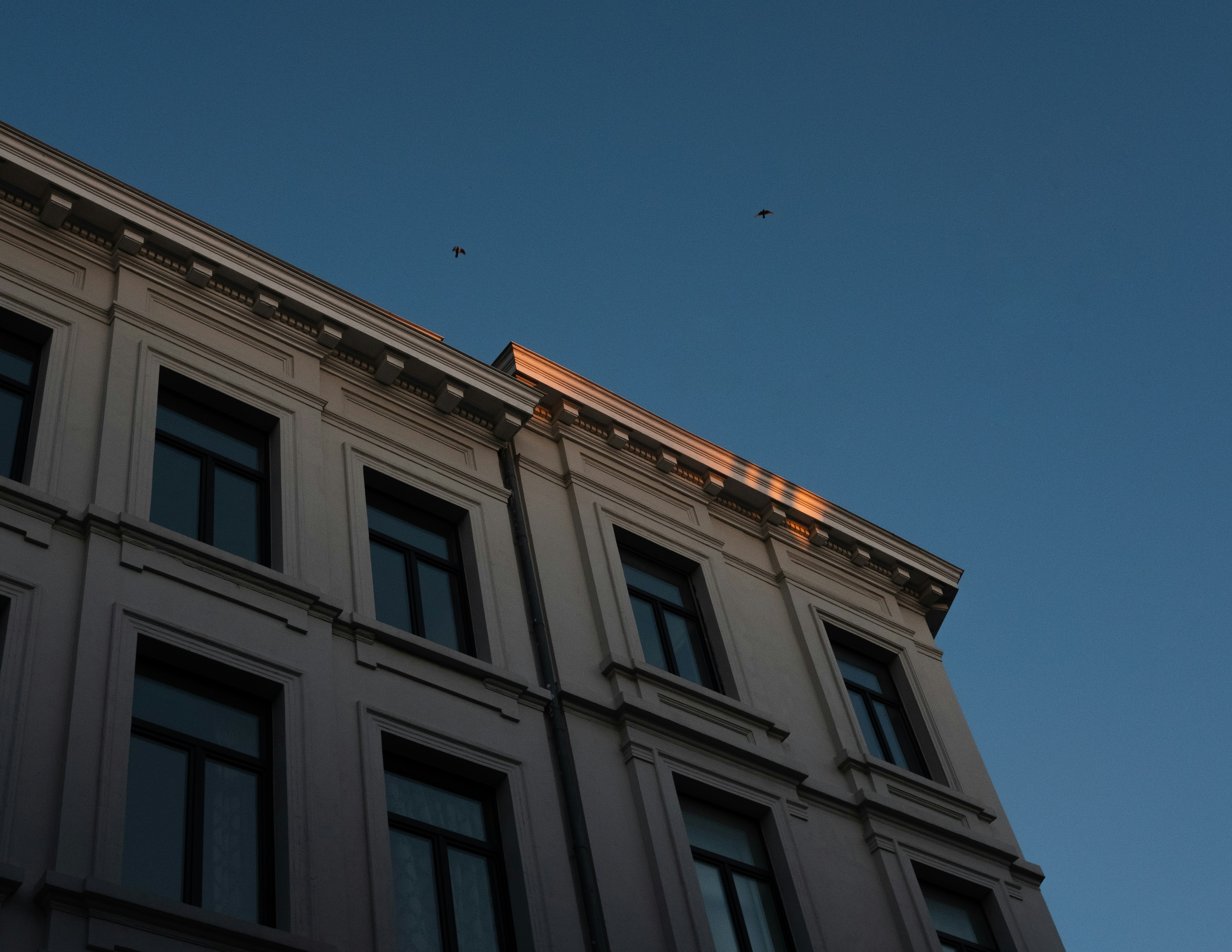 Photo by mimoto_photo