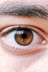 human eye in close-up photo