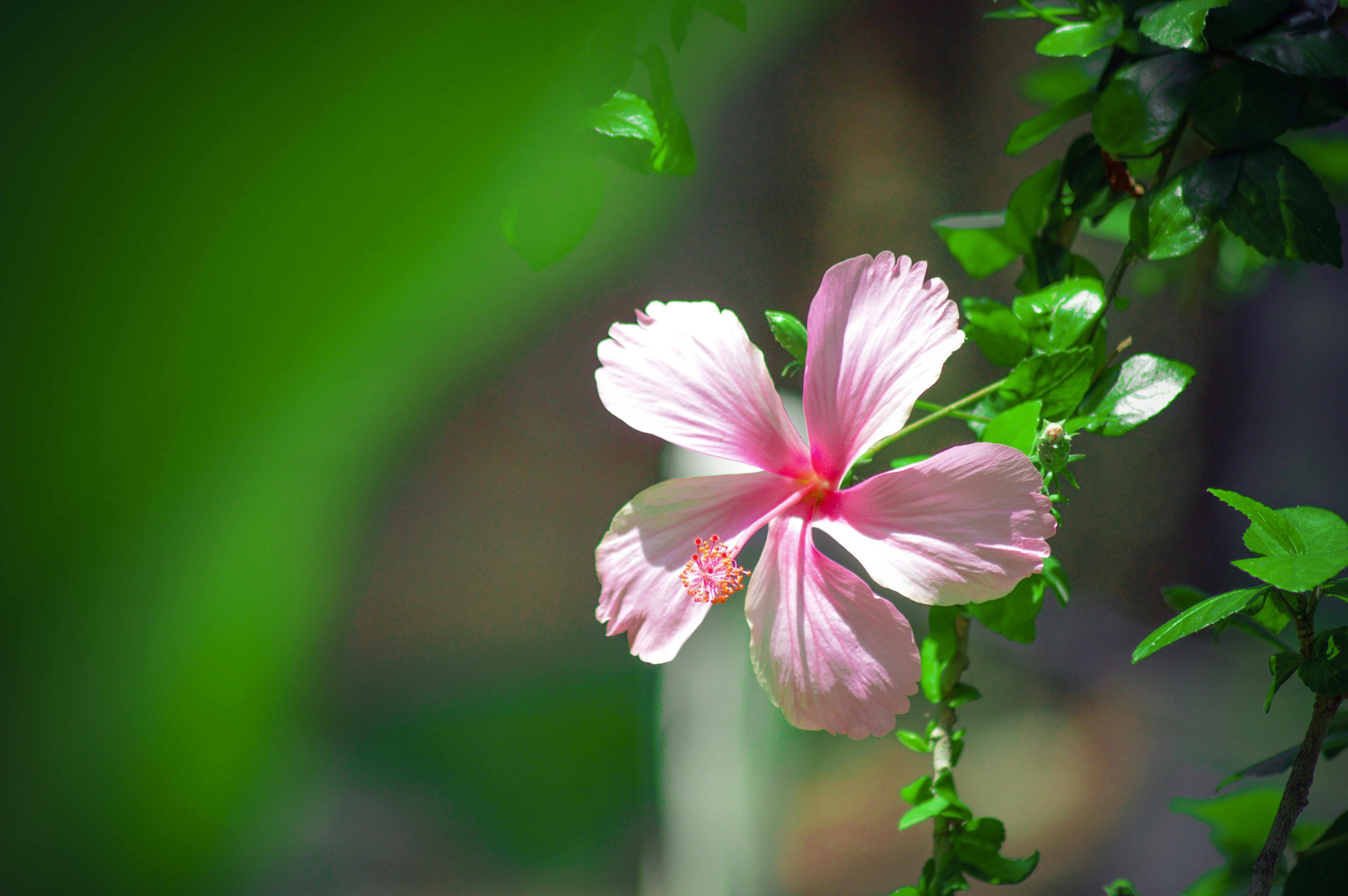 Photo by royalbadboy