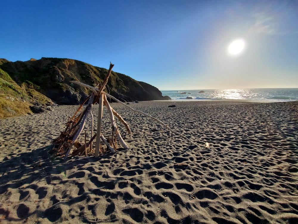 gray and brown twigs on seashore viewing calm sea under blue and white skies