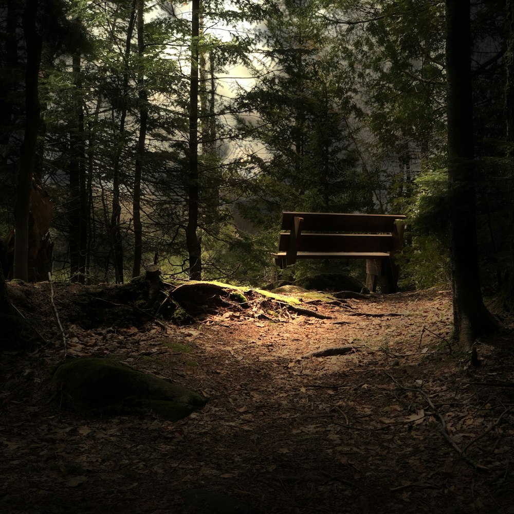 empty brown wooden bench in woods