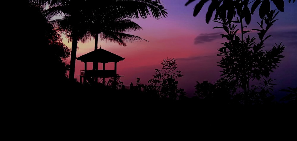 silhouette of hut surrounded by trees