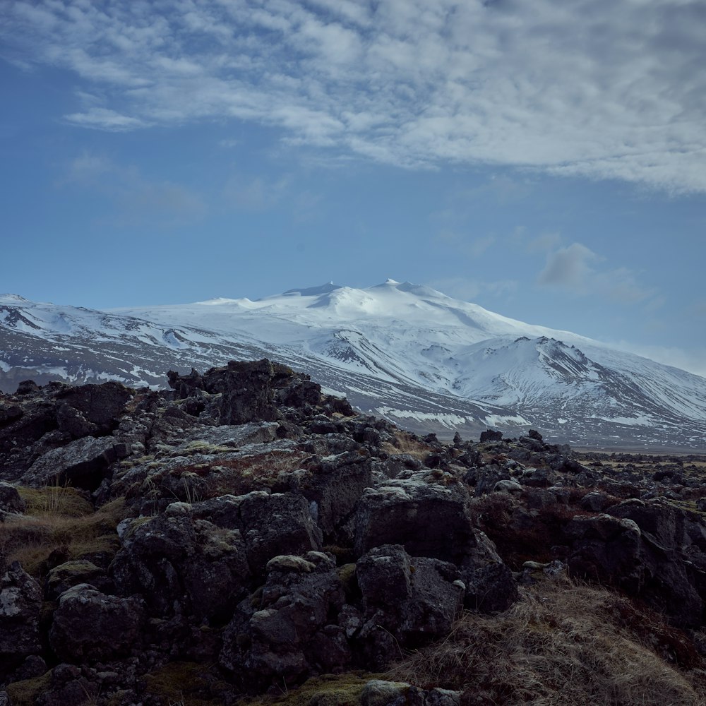 Cima de una colina rocosa cerca de la cordillera cubierta de nieve blanca