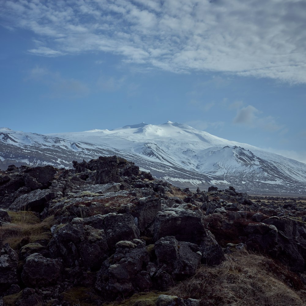 Felsiger Hügel in der Nähe einer weißen, schneebedeckten Bergkette