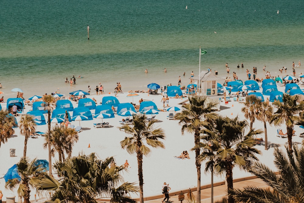 blue and white tents in beach with people