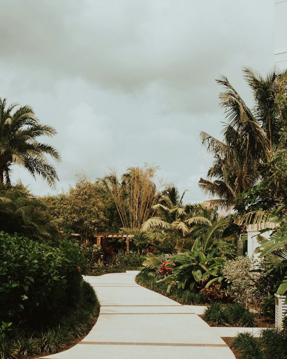 empty pathway during daytime ]