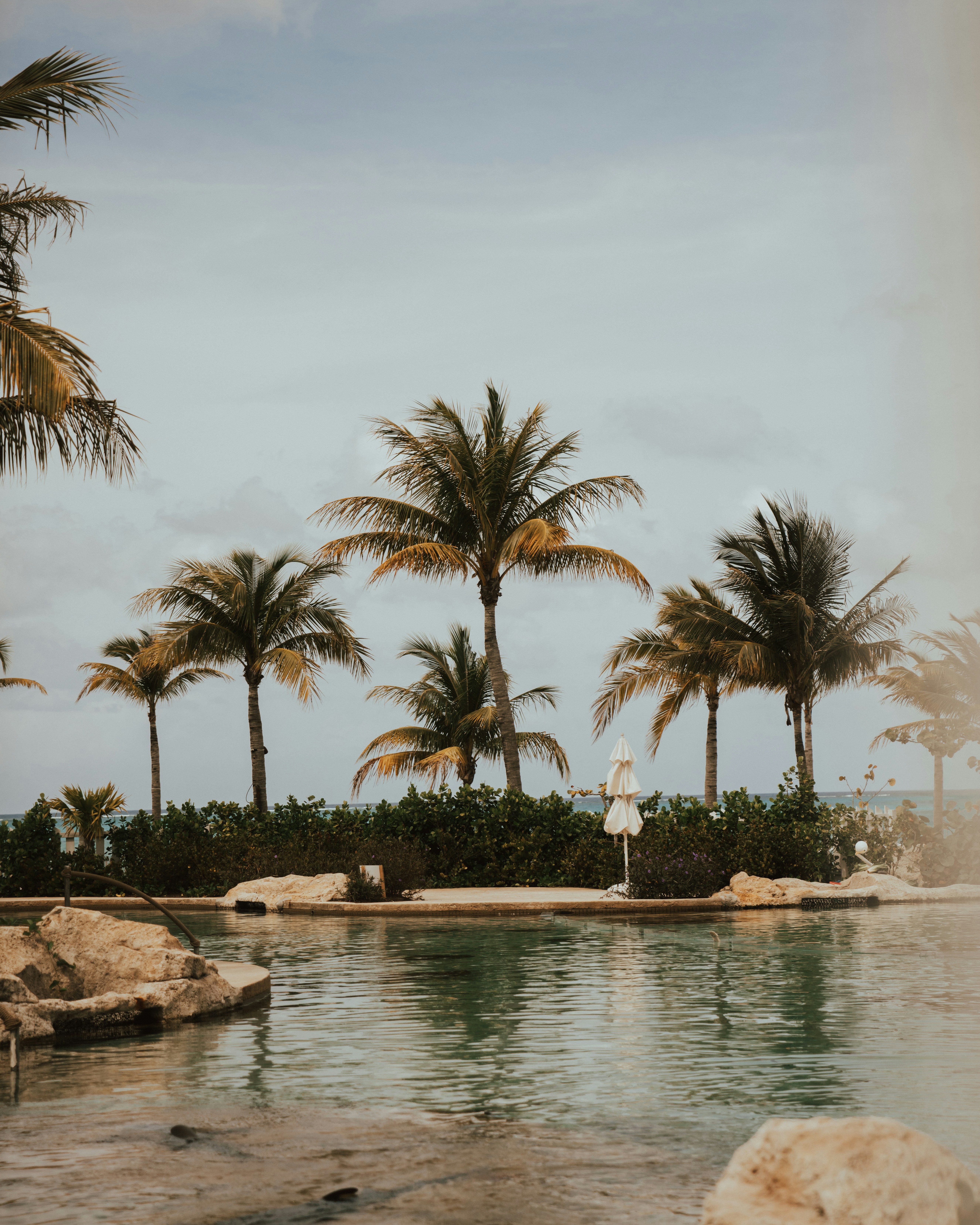 Las Terrenas: The Caribbean's Best-Kept Secret