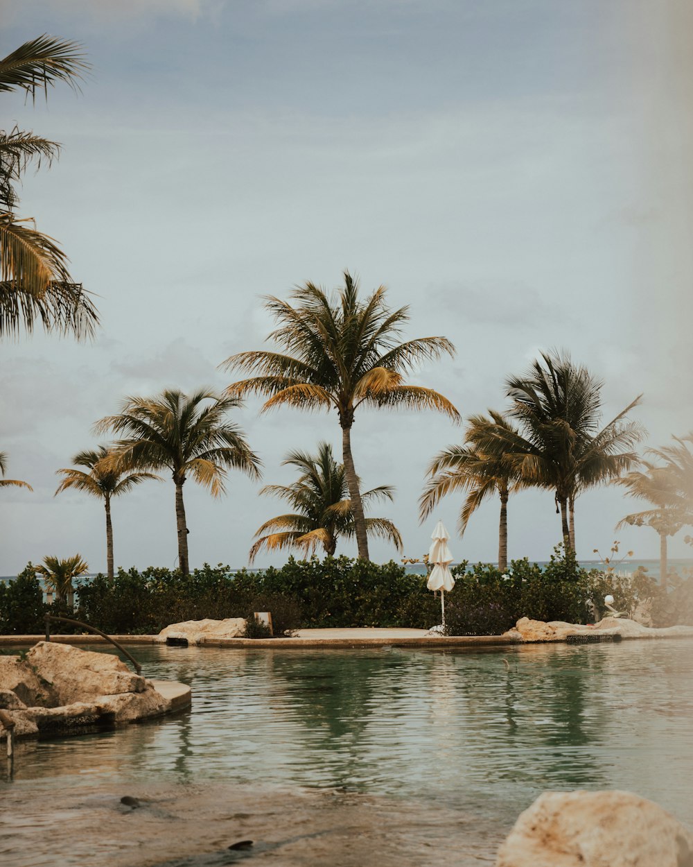 swimming pool outdoor during daytime