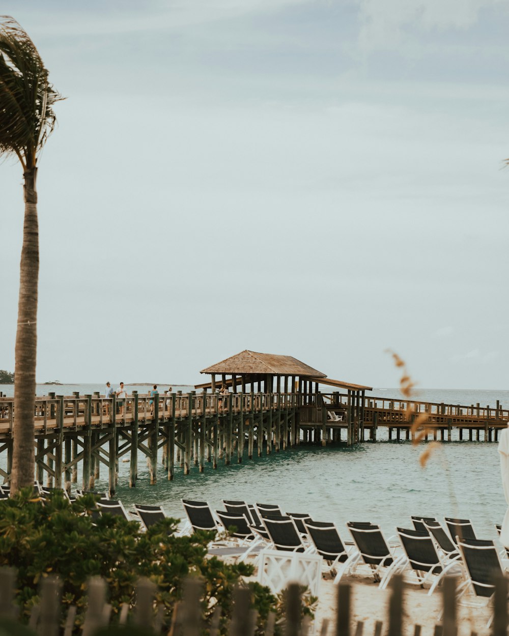 brown wooden dock