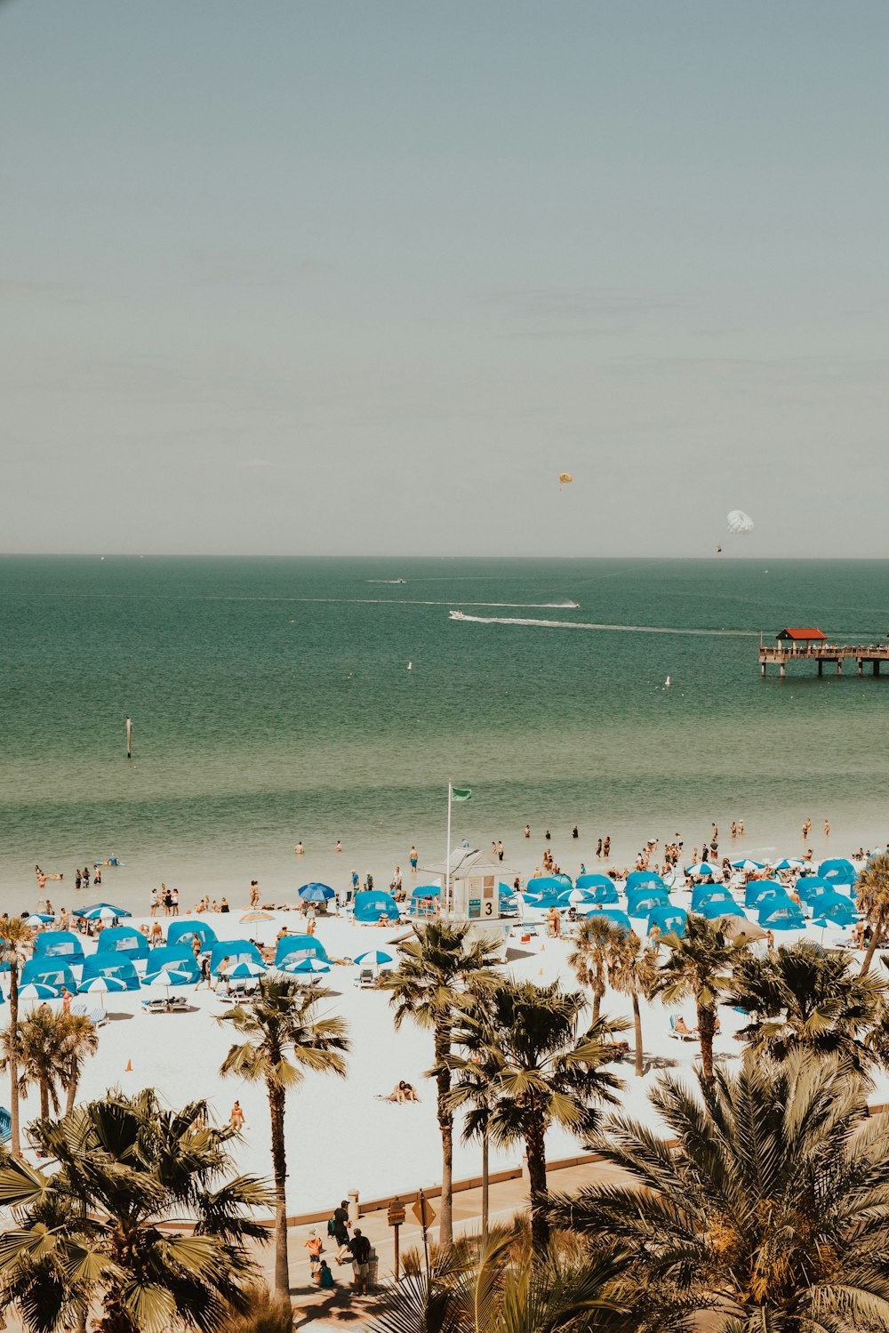 people gathering in beach during daytime