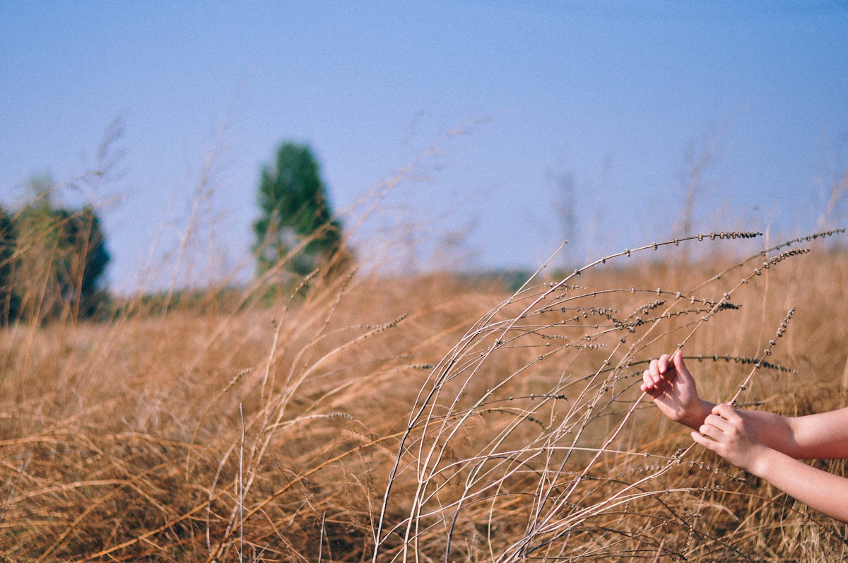 Mujeres — galería