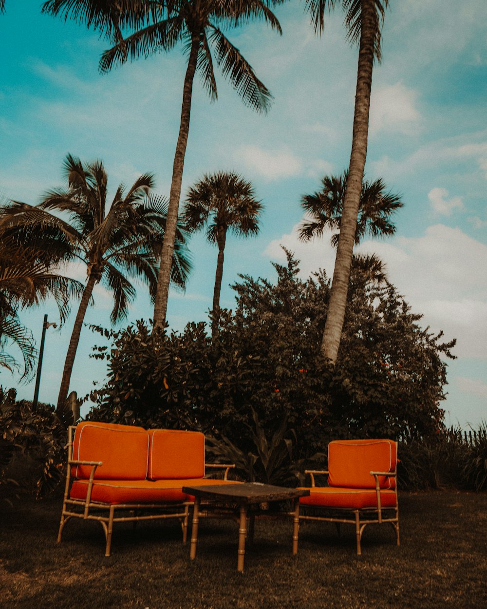 vacant sofa outdoor during daytime