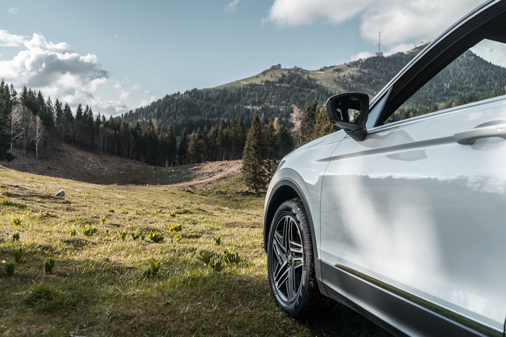 white vehicle parked near pine trees during daytime