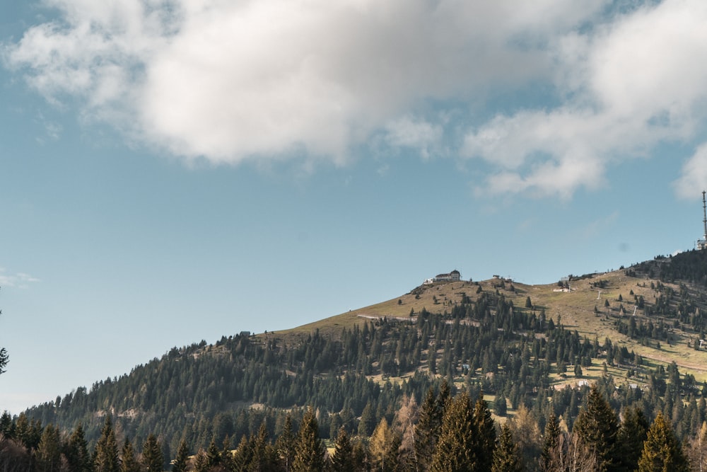 green trees on mountain under white clouds