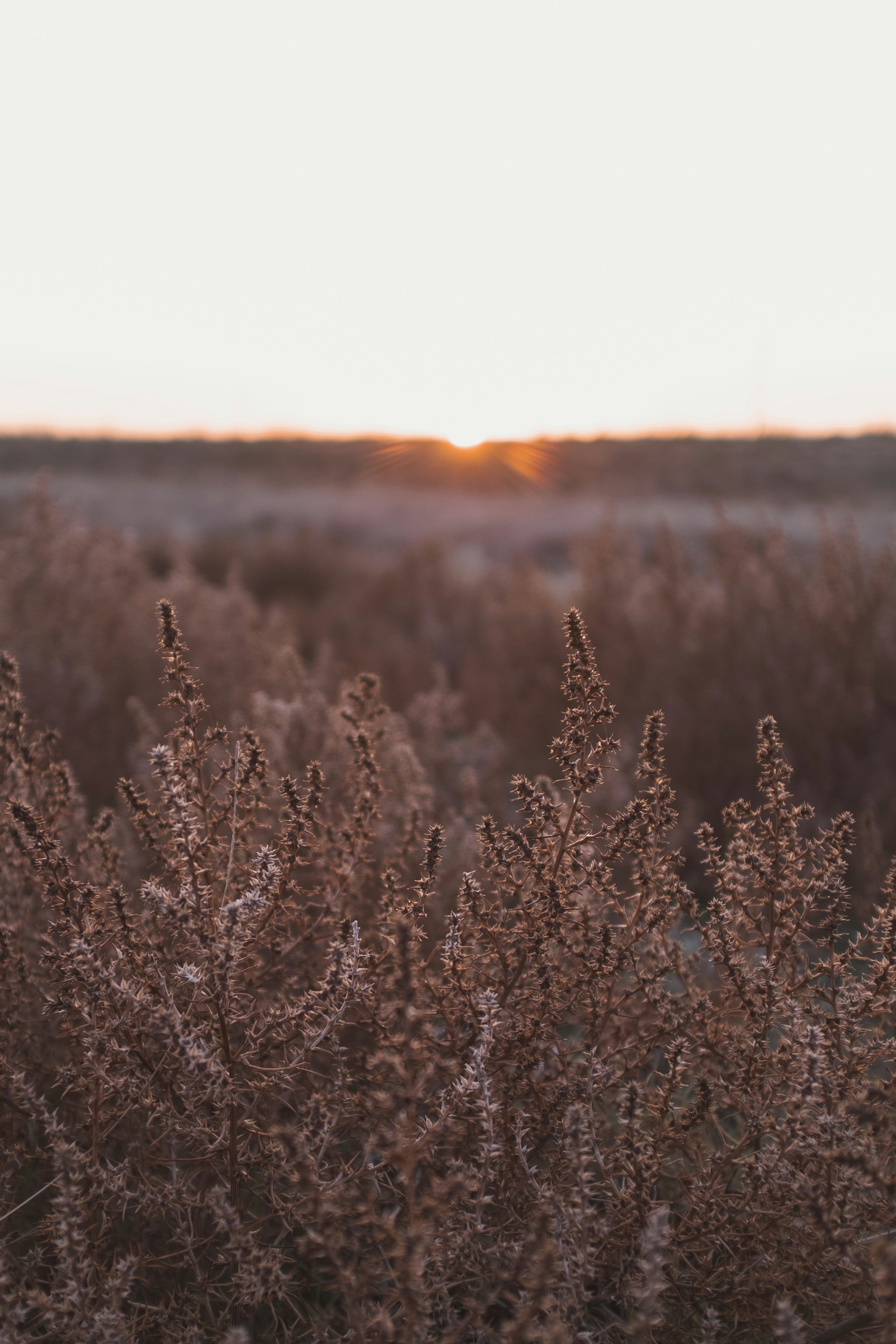 Photo by juanigiraudo