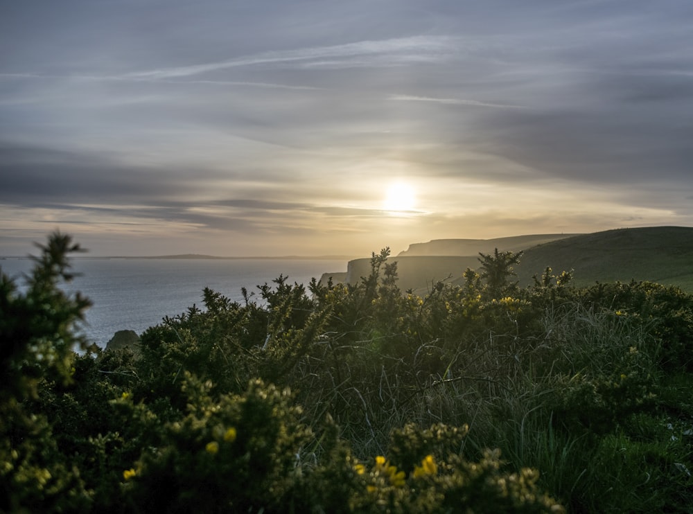 ocean view during sunrise