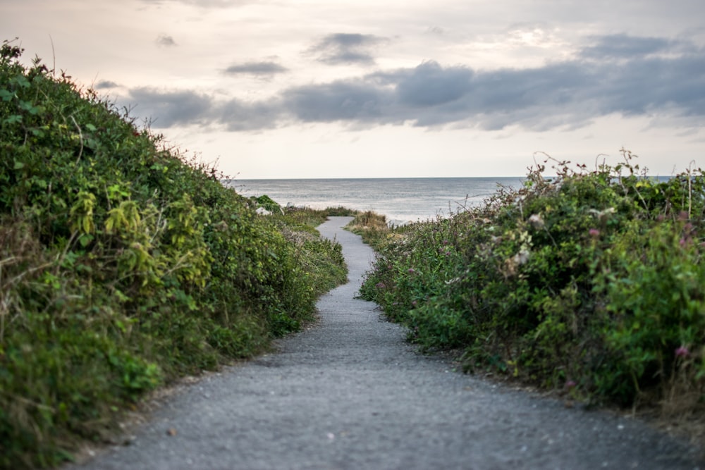 road near ocean during daytime