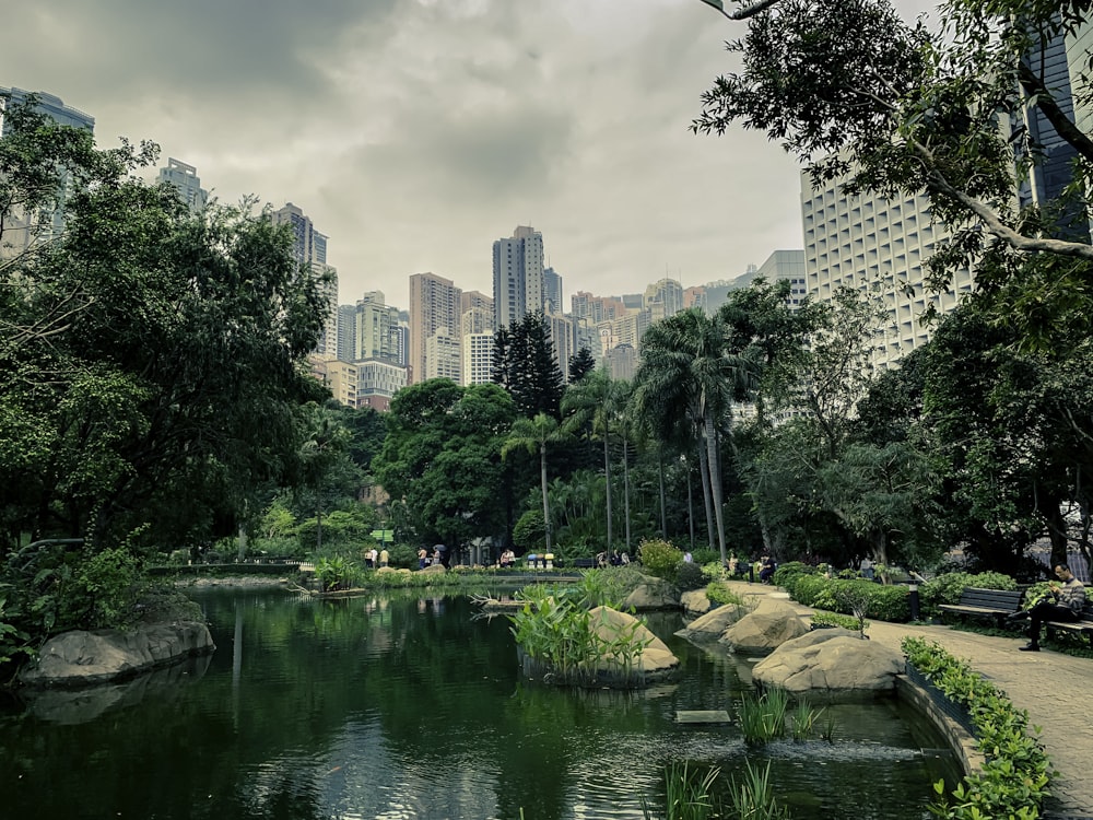 pond in city park