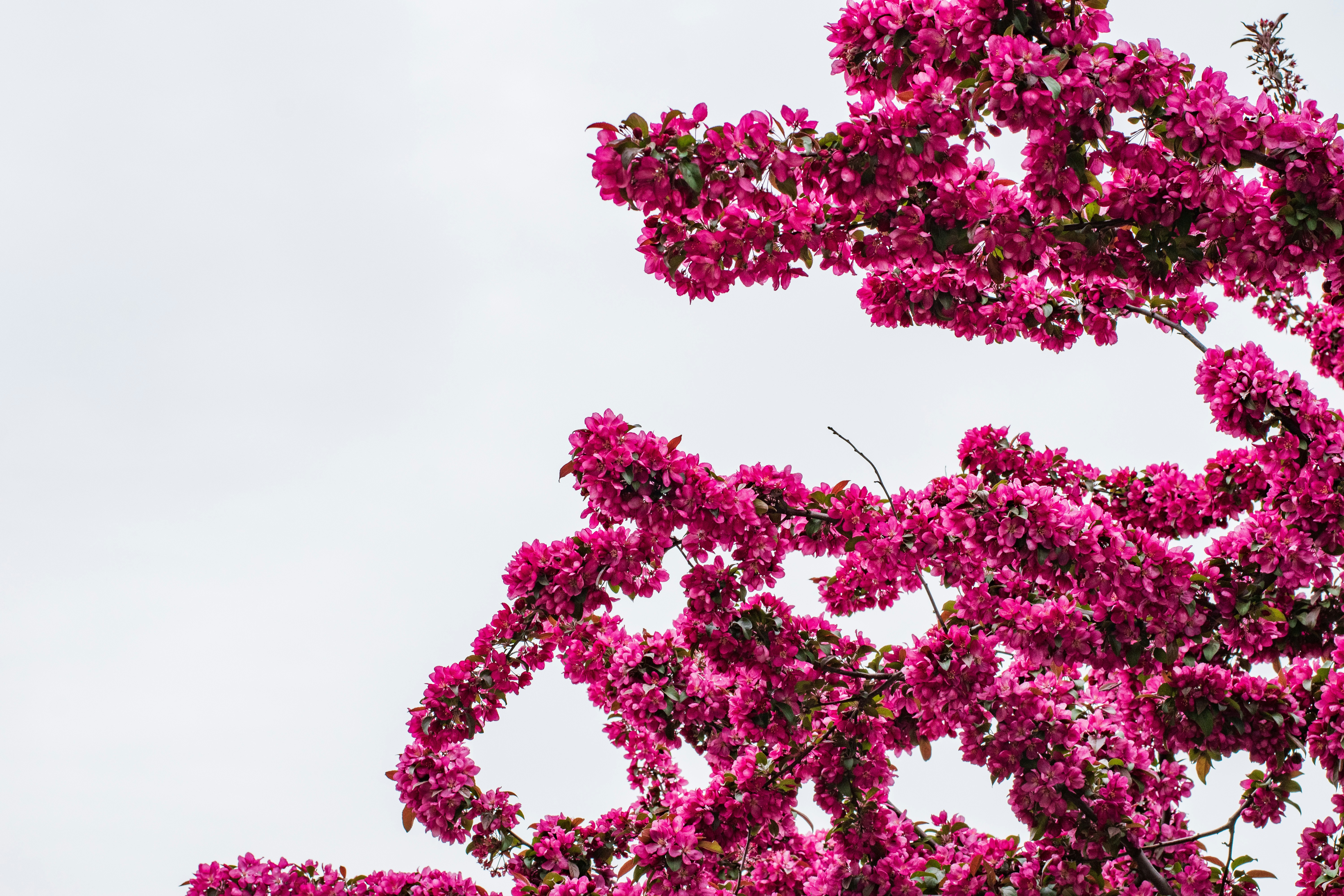 Photo by christopherphigh