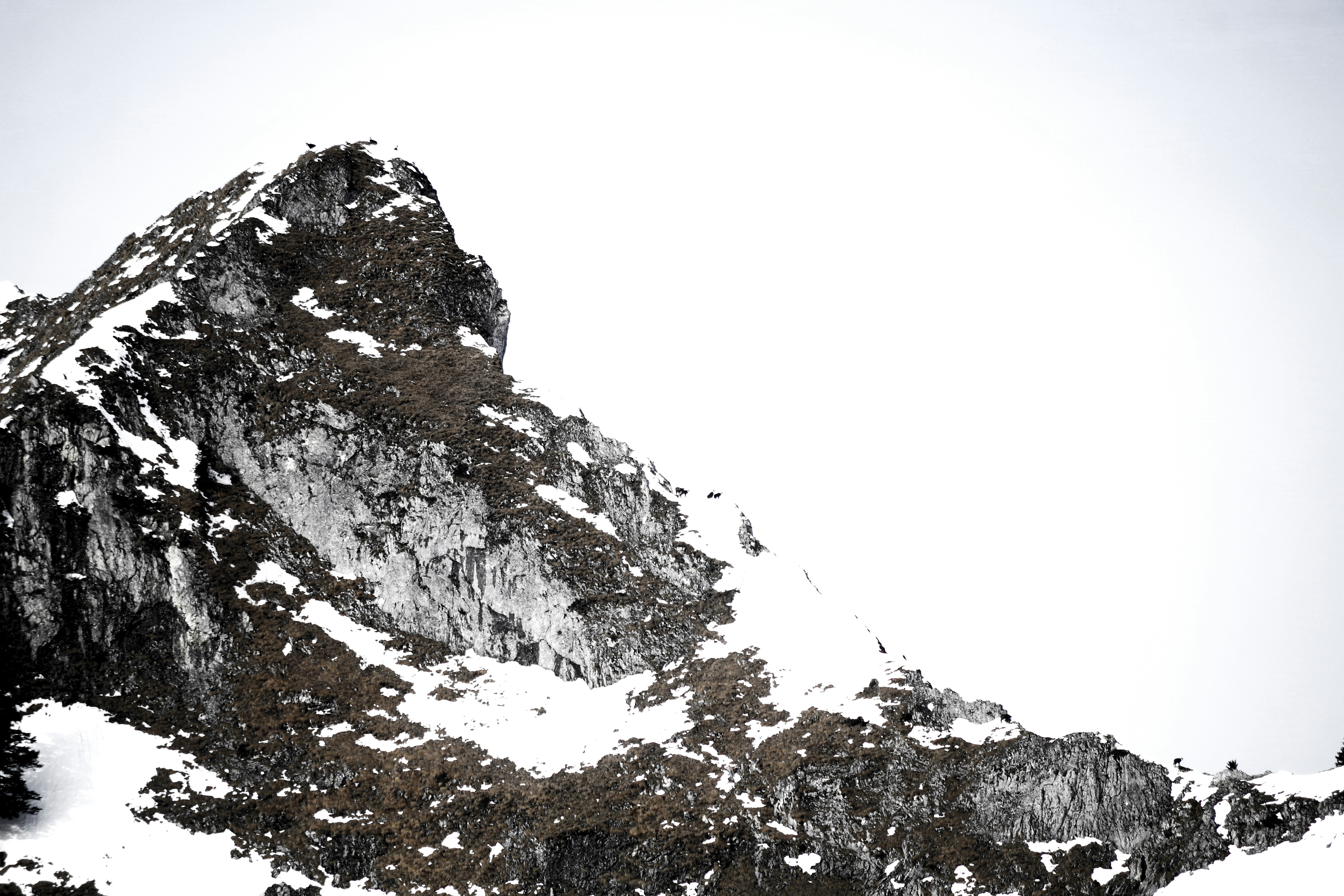 Landscape Photo Of A Snowy Mountain Top Photo Free Grey Image On Unsplash
