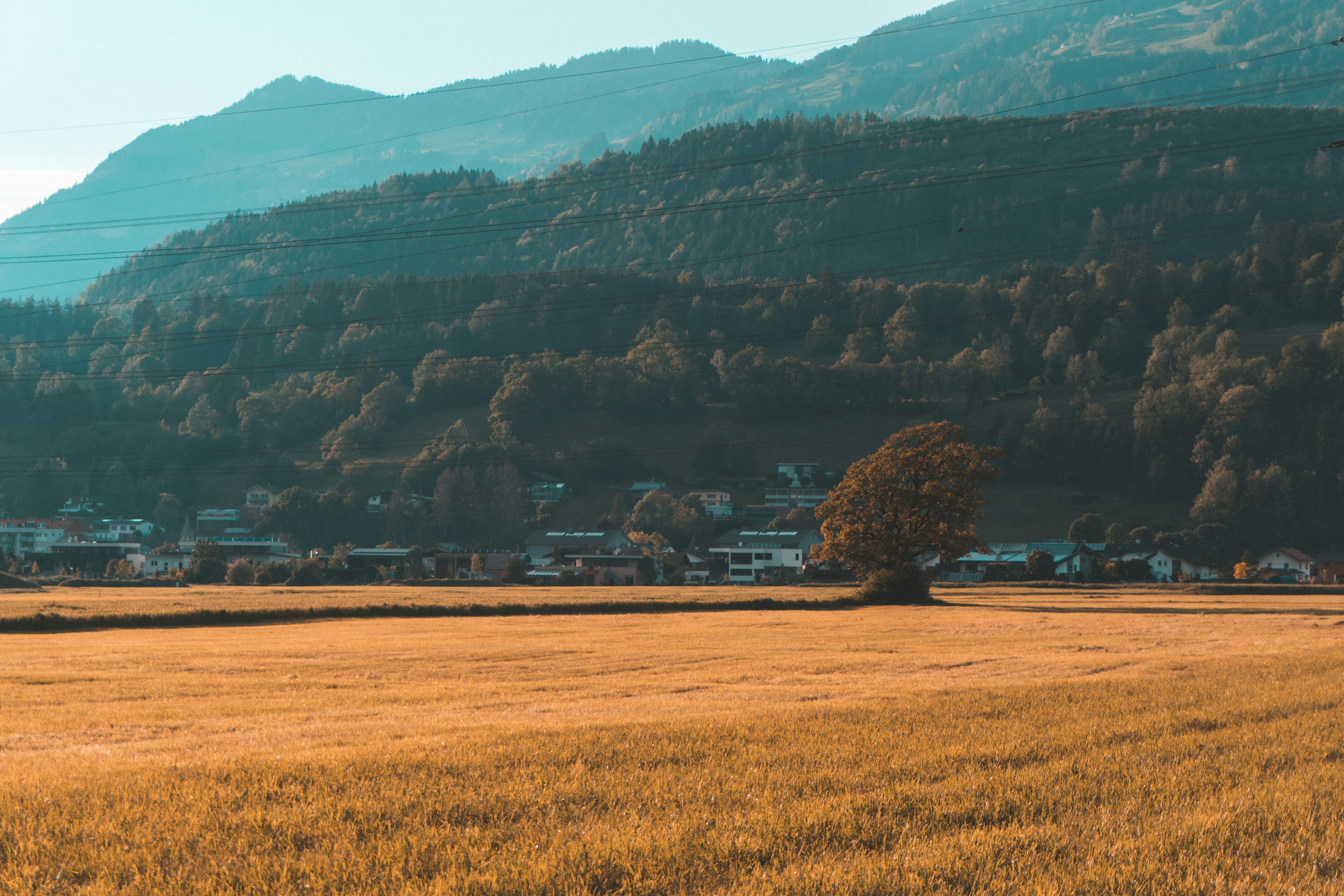 Photo by ply3