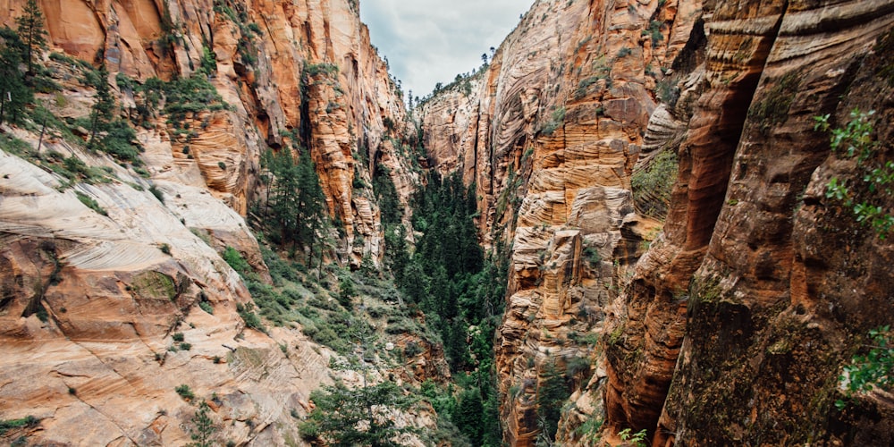 brown rock formation