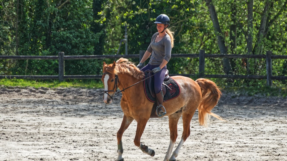 person wearing gray crew-neck shirt riding horse