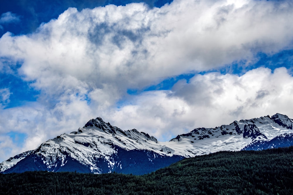 white glacier mountain