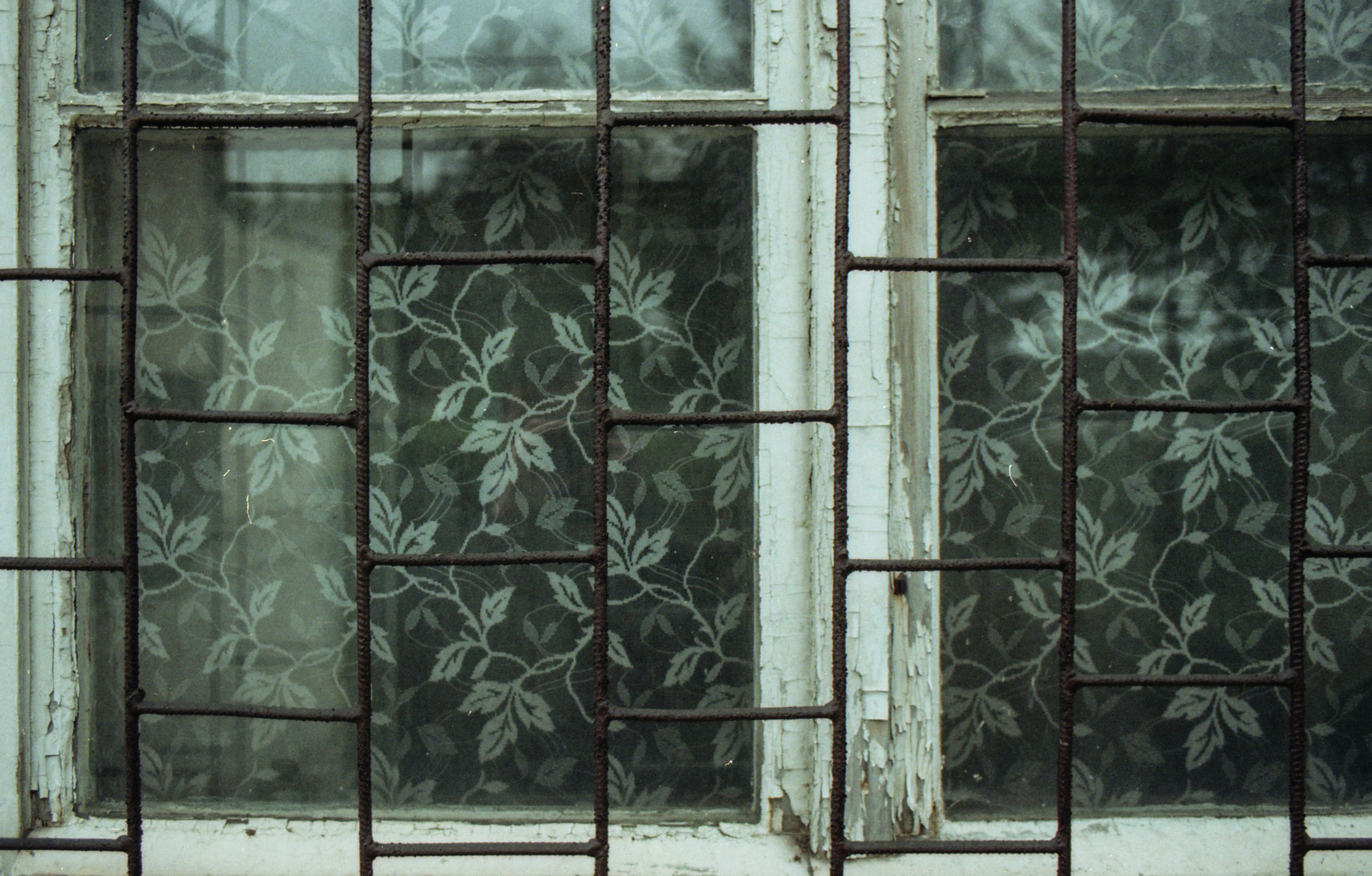 Photo by pawel_czerwinski