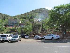 A fleet of rental cars parked in a sunny outdoor lot.