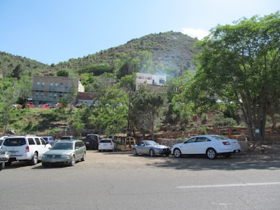 A fleet of diverse rental cars parked in an open lot ready for customers.