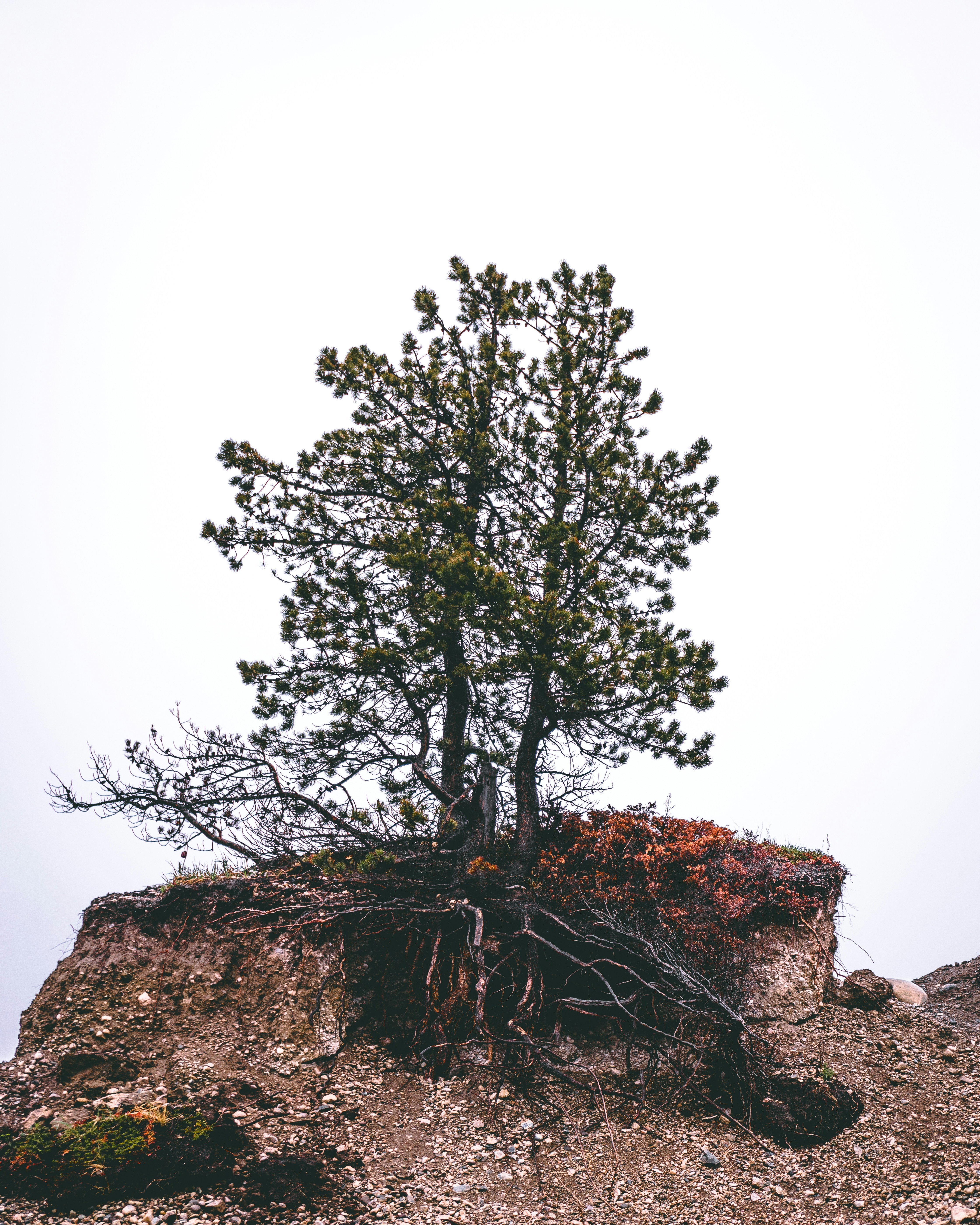Photo by bencehorvai