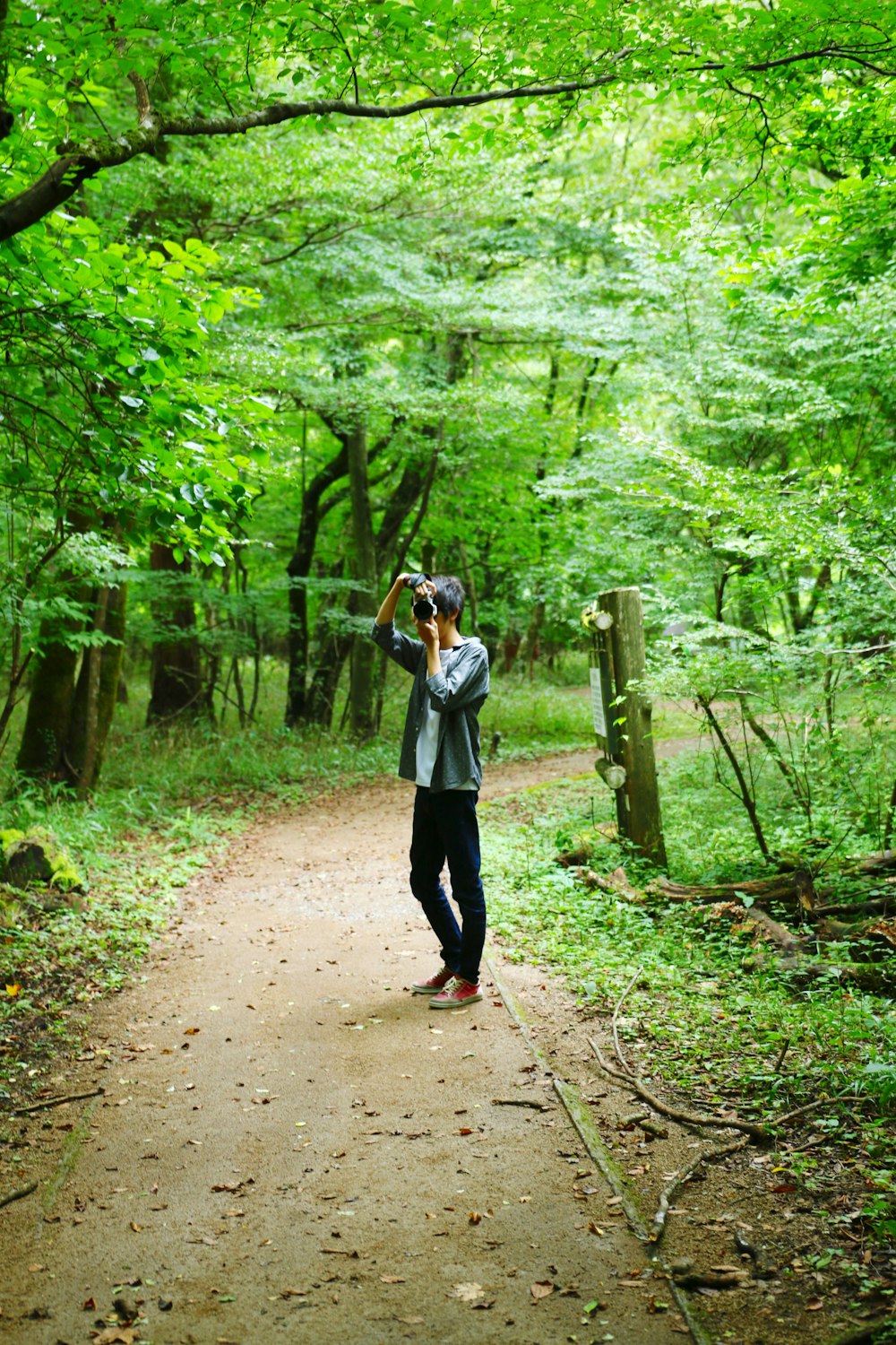 hombre tomando fotos en un camino bordeado de árboles
