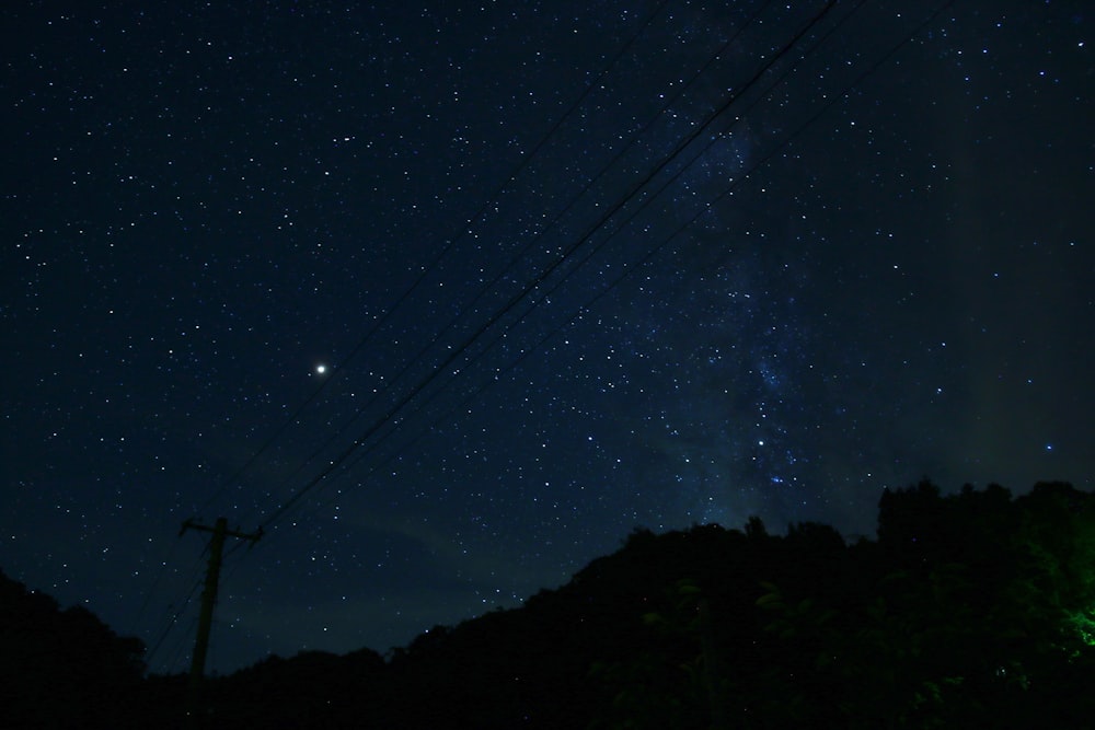 tree near hill at night