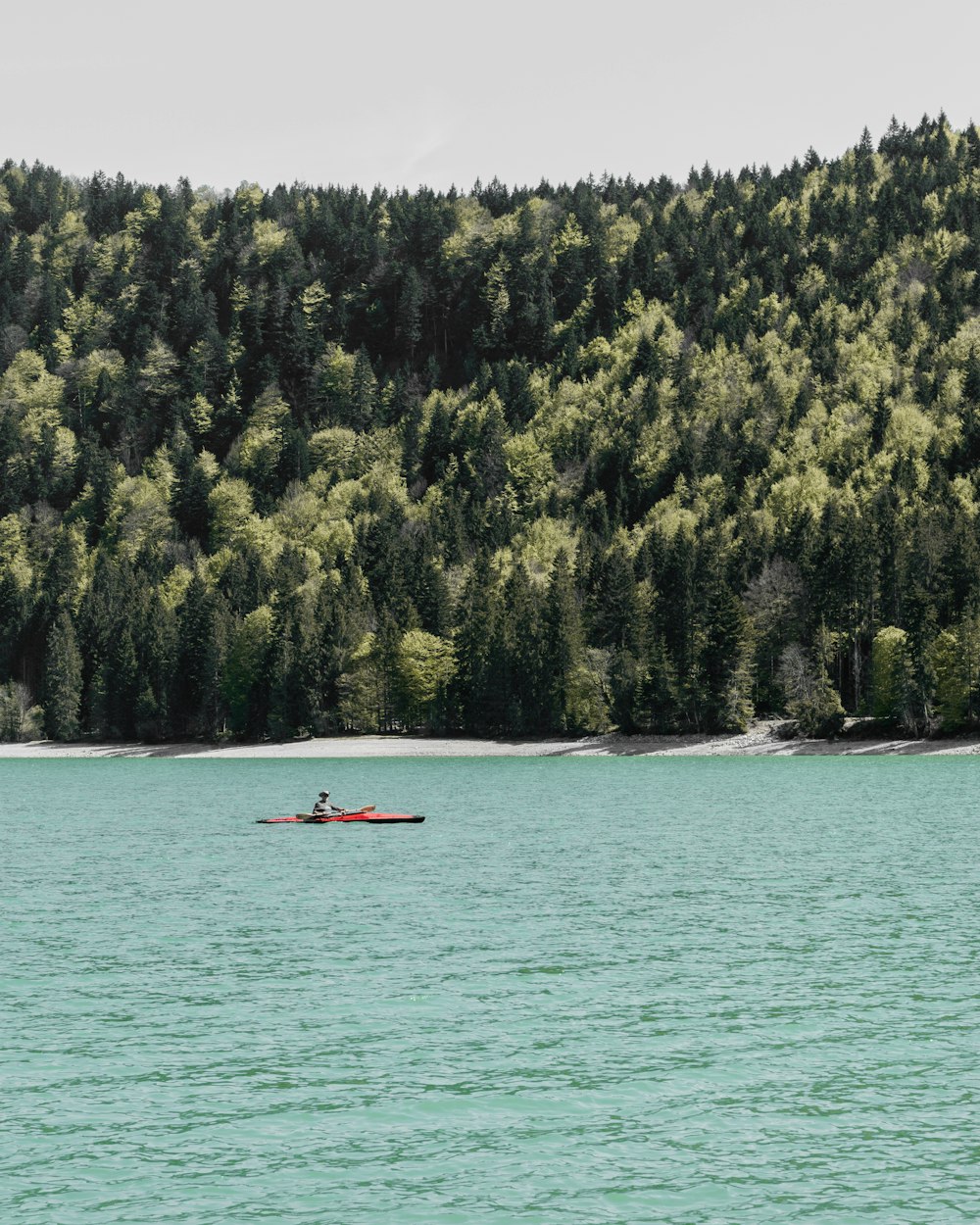 person riding boat