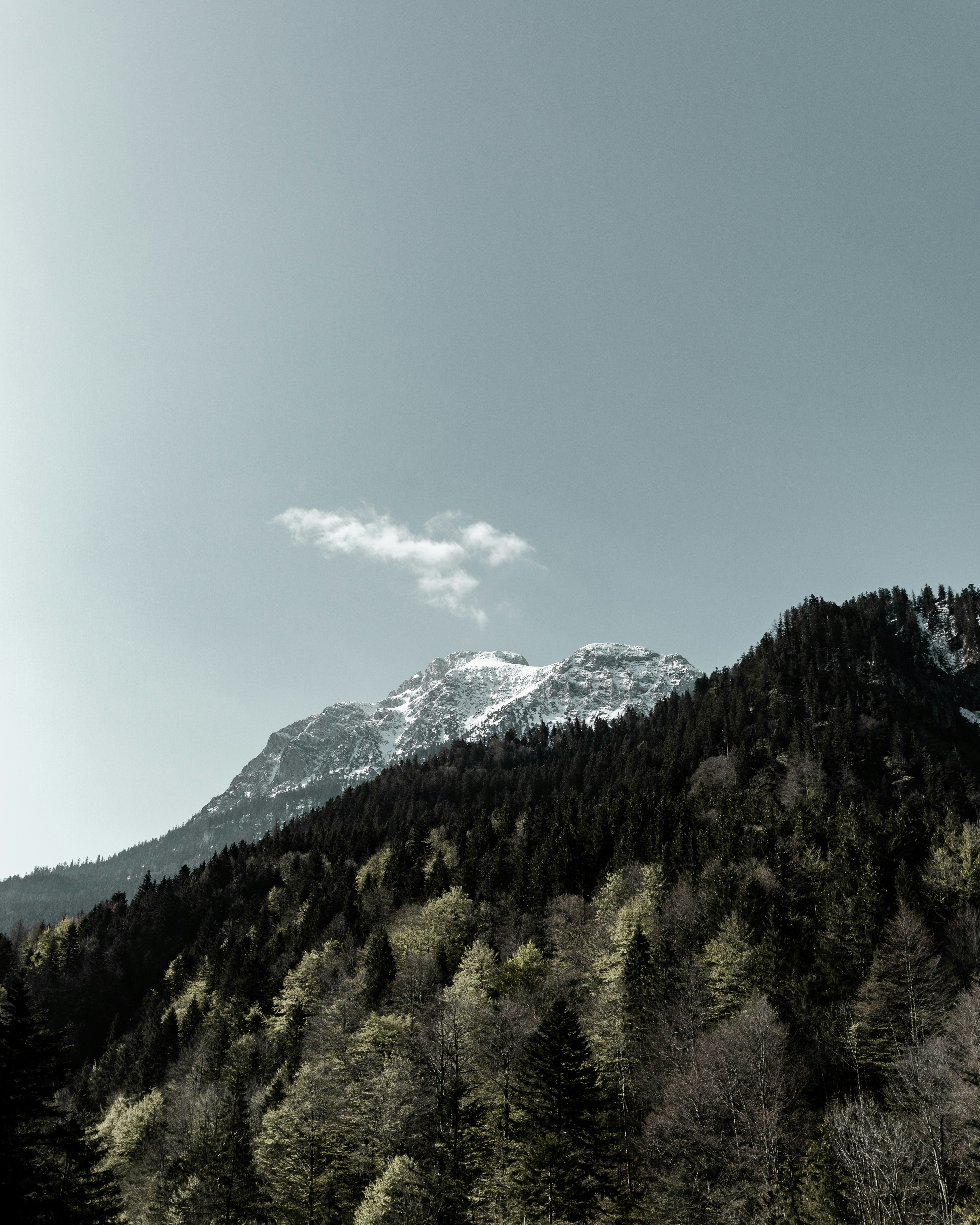 Photo by justusmenke