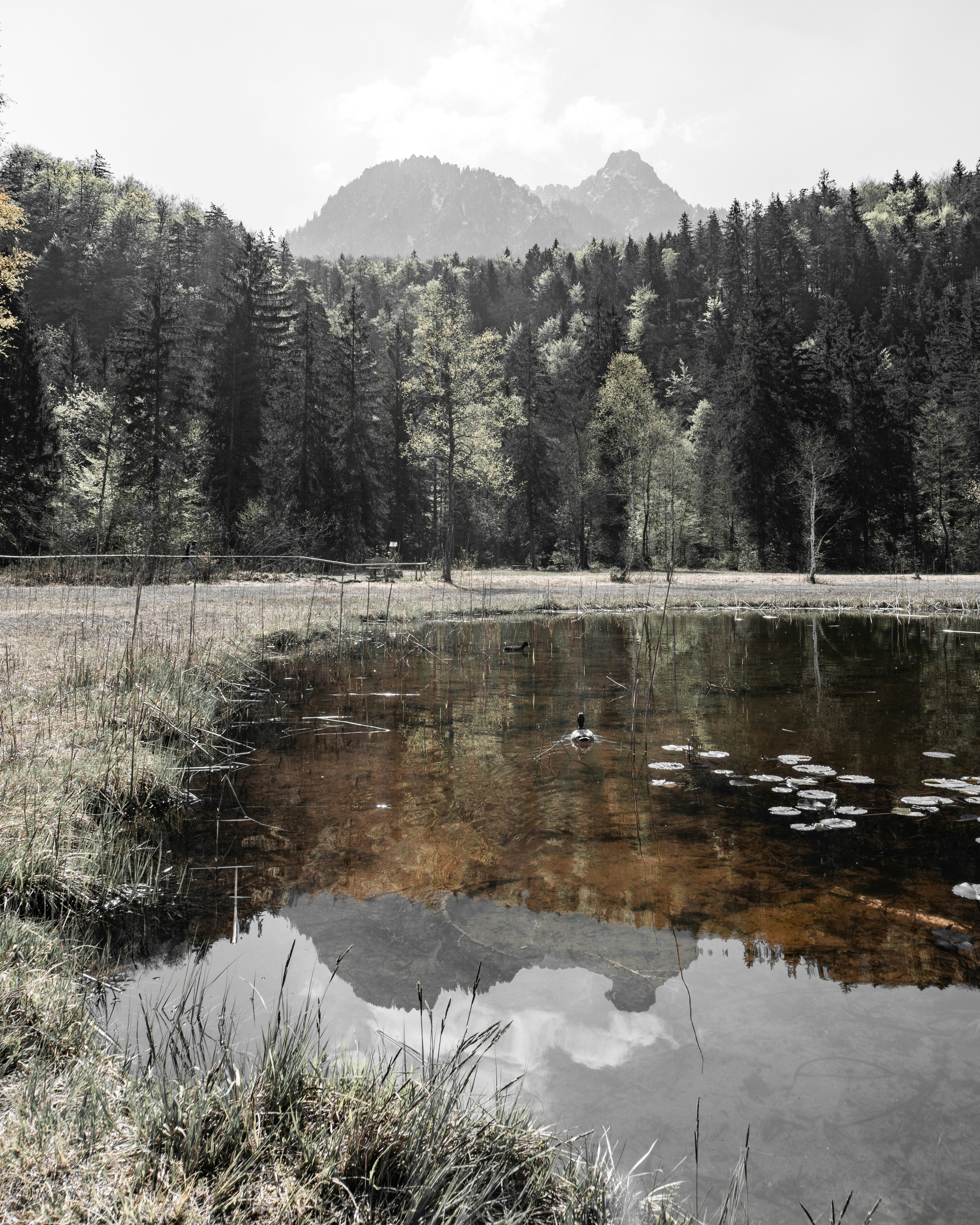 Photo by justusmenke