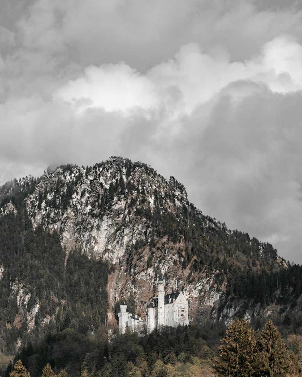 trees covered mountain on gray cloudy sky during daytime