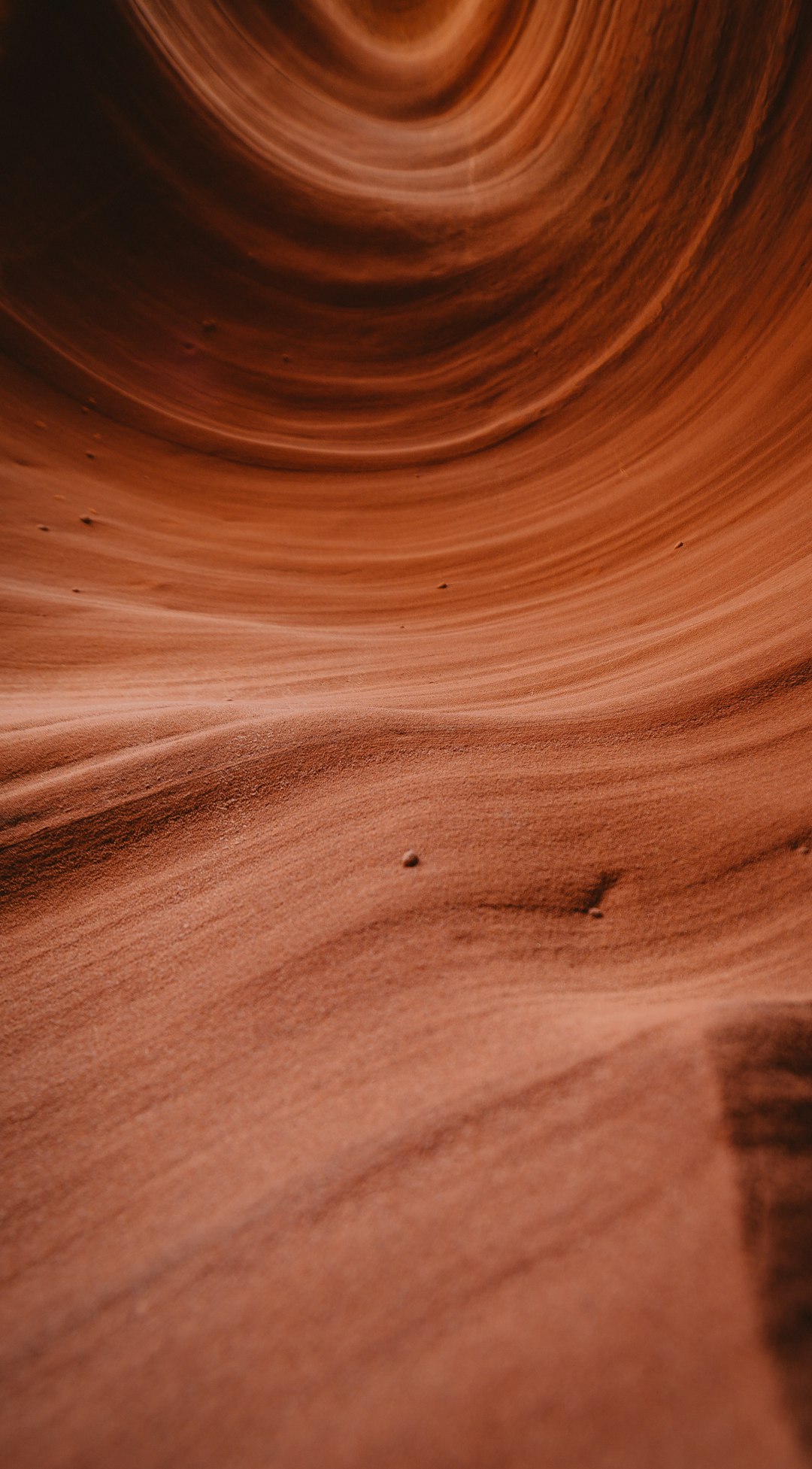 landscape photo of a brown sand dessert