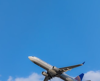 gray and blue airplane