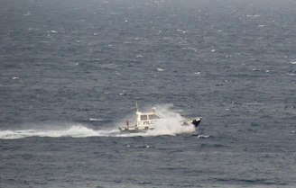 A marine pilot boarding a vessel via a small pilot transfer boat.