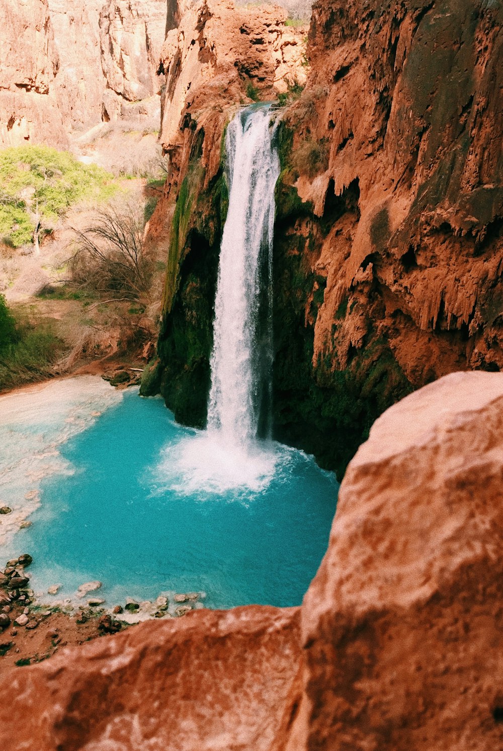 waterfalls near plants