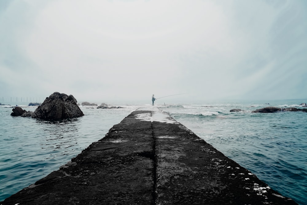 black wooden dock