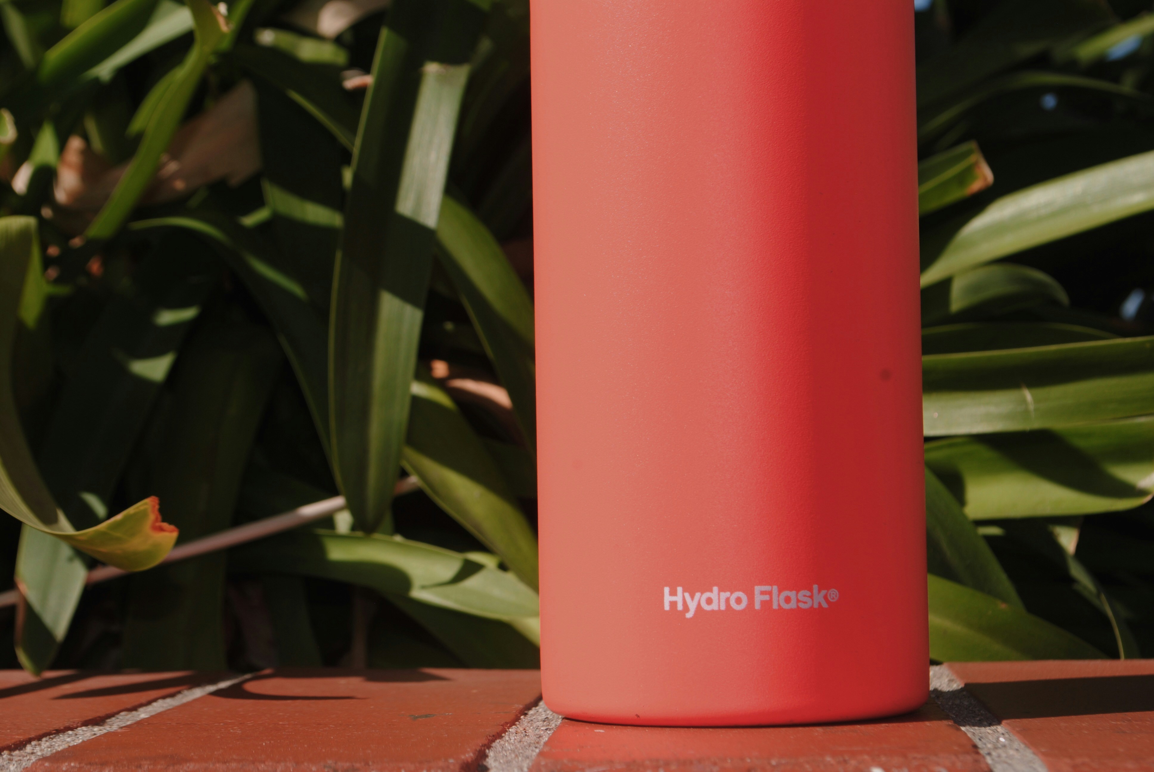 photo 1559275972 126a34181de6?ixlib=rb 4.0