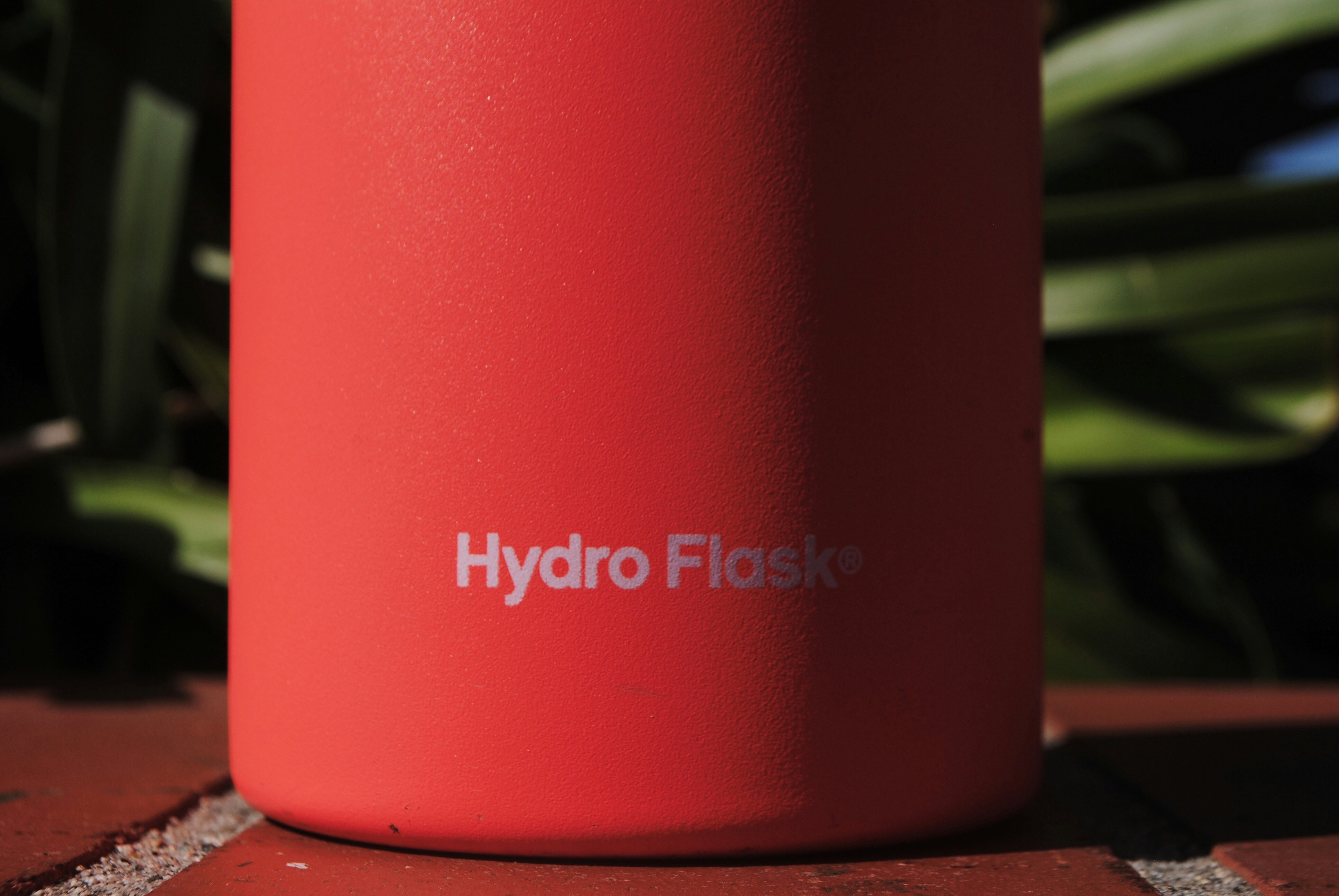 photo 1559275972 72ac1319511f?ixlib=rb 4.0